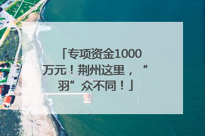 专项资金1000万元！荆州这里，“羽”众不同！