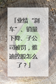 业绩“刹车”、销量下降、子公司被罚，雅迪控股怎么了？