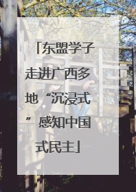 东盟学子走进广西多地“沉浸式”感知中国式民主