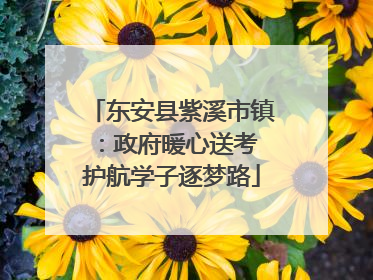 东安县紫溪市镇：政府暖心送考 护航学子逐梦路