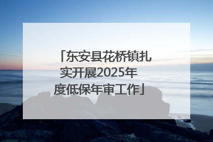 东安县花桥镇扎实开展2025年度低保年审工作