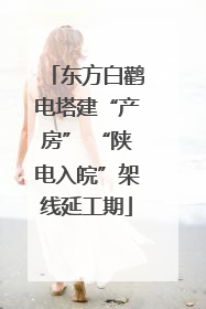 东方白鹳电塔建“产房” “陕电入皖”架线延工期