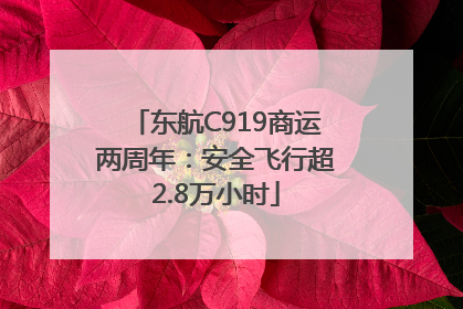东航C919商运两周年：安全飞行超2.8万小时