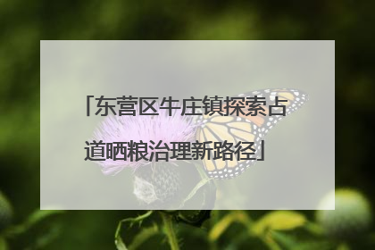 东营区牛庄镇探索占道晒粮治理新路径