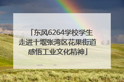 东风6264学校学生走进十堰张湾区花果街道感悟工业文化精神