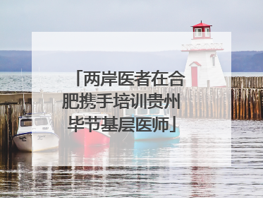 两岸医者在合肥携手培训贵州毕节基层医师