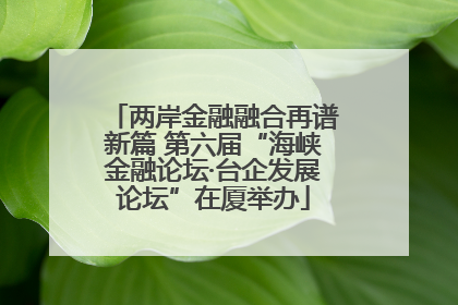 两岸金融融合再谱新篇 第六届“海峡金融论坛·台企发展论坛”在厦举办
