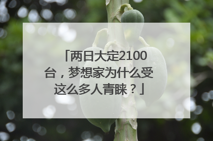 两日大定2100台，梦想家为什么受这么多人青睐？