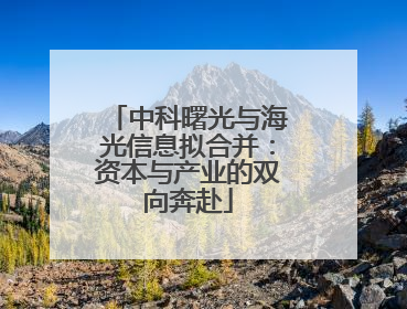 中科曙光与海光信息拟合并：资本与产业的双向奔赴