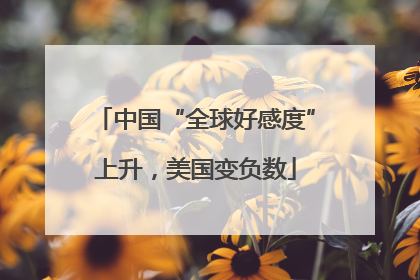 中国“全球好感度”上升，美国变负数