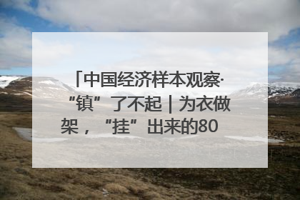 中国经济样本观察·“镇”了不起｜为衣做架，“挂”出来的80亿元“衣架产业”