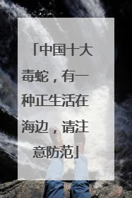 中国十大毒蛇，有一种正生活在海边，请注意防范