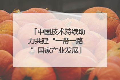 中国技术持续助力共建“一带一路”国家产业发展