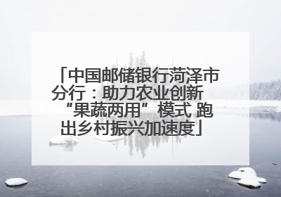 中国邮储银行菏泽市分行：助力农业创新 “果蔬两用”模式 跑出乡村振兴加速度