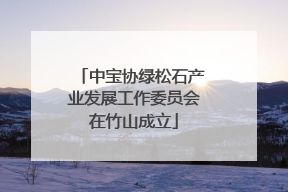 中宝协绿松石产业发展工作委员会在竹山成立