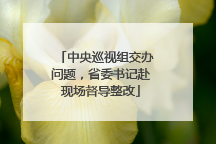 中央巡视组交办问题，省委书记赴现场督导整改