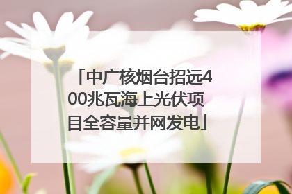 中广核烟台招远400兆瓦海上光伏项目全容量并网发电