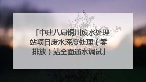 中建八局铜川废水处理站项目废水深度处理（零排放）站全面通水调试
