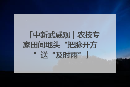 中新武威观｜农技专家田间地头“把脉开方”送“及时雨”