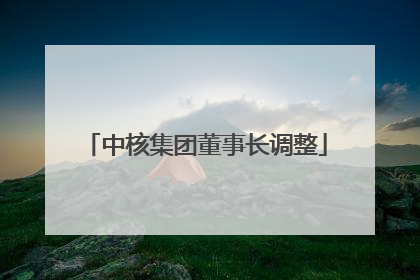 中核集团董事长调整