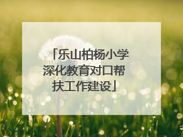 乐山柏杨小学深化教育对口帮扶工作建设