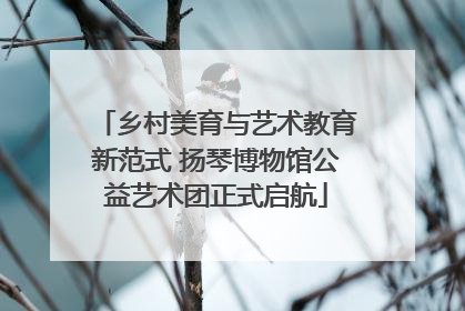 乡村美育与艺术教育新范式 扬琴博物馆公益艺术团正式启航