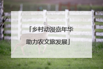 乡村动漫嘉年华助力农文旅发展