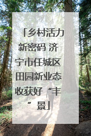 乡村活力新密码 济宁市任城区田园新业态收获好“丰”景