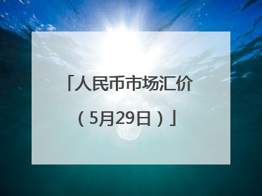 人民币市场汇价（5月29日）