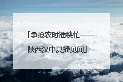 争抢农时插秧忙——陕西汉中夏播见闻