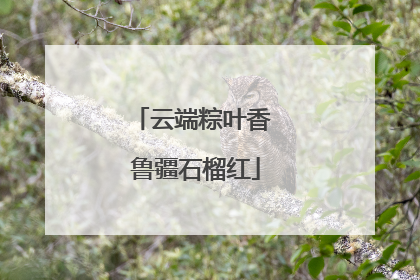 云端粽叶香 鲁疆石榴红