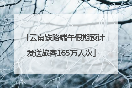 云南铁路端午假期预计发送旅客165万人次