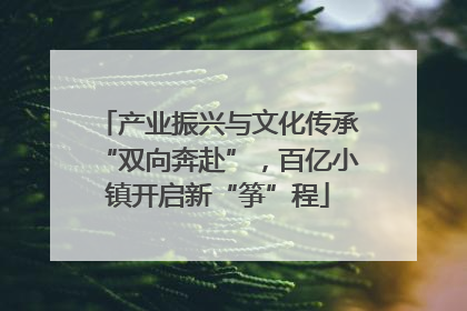 产业振兴与文化传承“双向奔赴”，百亿小镇开启新“筝”程