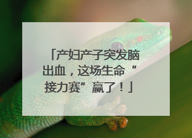 产妇产子突发脑出血，这场生命“接力赛”赢了！