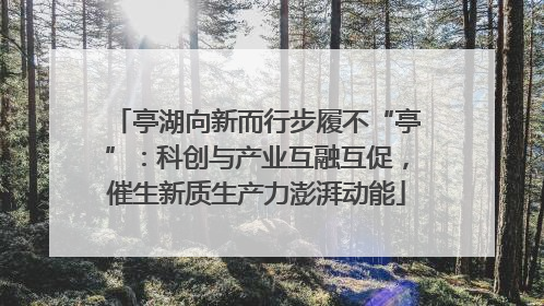 亭湖向新而行步履不“亭”：科创与产业互融互促，催生新质生产力澎湃动能