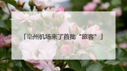 亳州机场来了首批“旅客”