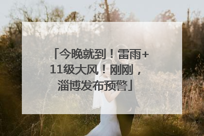 今晚就到！雷雨+11级大风！刚刚，淄博发布预警