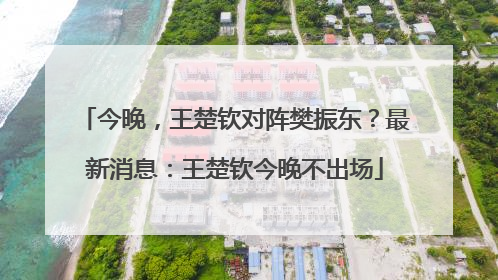 今晚，王楚钦对阵樊振东？最新消息：王楚钦今晚不出场