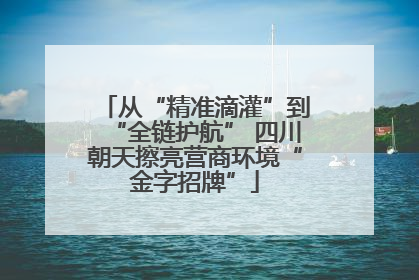 从“精准滴灌”到“全链护航” 四川朝天擦亮营商环境“金字招牌”