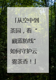 从空中到茶园，看“藏蓝防线”如何守护云雾茶香！