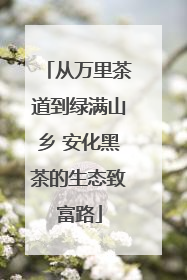 从万里茶道到绿满山乡 安化黑茶的生态致富路