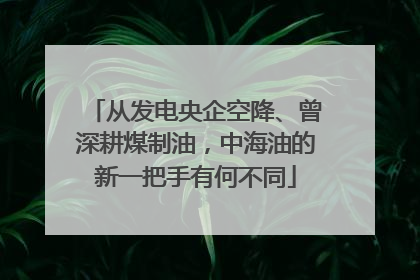 从发电央企空降、曾深耕煤制油，中海油的新一把手有何不同