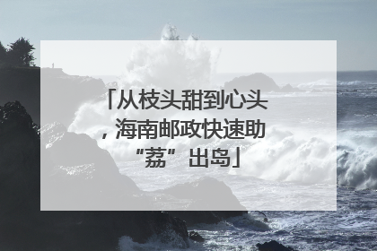 从枝头甜到心头，海南邮政快速助“荔”出岛