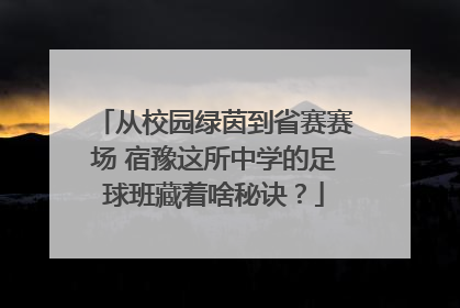 从校园绿茵到省赛赛场 宿豫这所中学的足球班藏着啥秘诀？