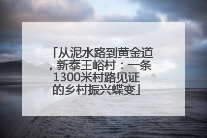 从泥水路到黄金道，新泰王峪村：一条1300米村路见证的乡村振兴蝶变