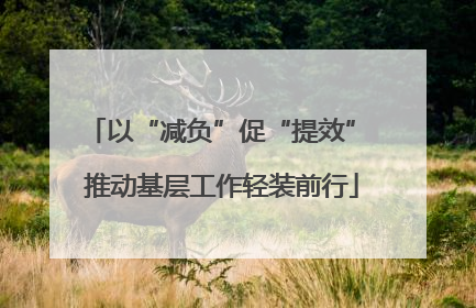 以“减负”促“提效” 推动基层工作轻装前行