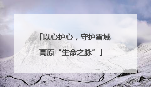 以心护心，守护雪域高原“生命之脉”