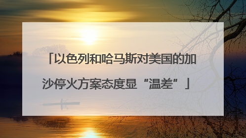 以色列和哈马斯对美国的加沙停火方案态度显“温差”