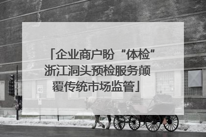 企业商户盼“体检” 浙江洞头预检服务颠覆传统市场监管