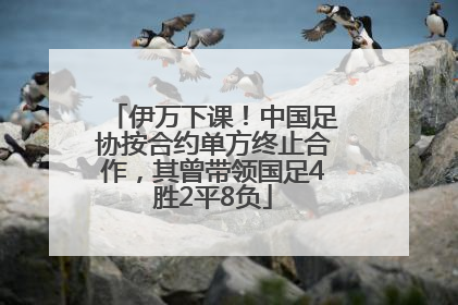 伊万下课！中国足协按合约单方终止合作，其曾带领国足4胜2平8负